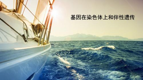 【骄子之路】2017生物高考总复习：专题15 基因在染色体上和伴性遗传(94张PPT) [兼容模式] [修复的]