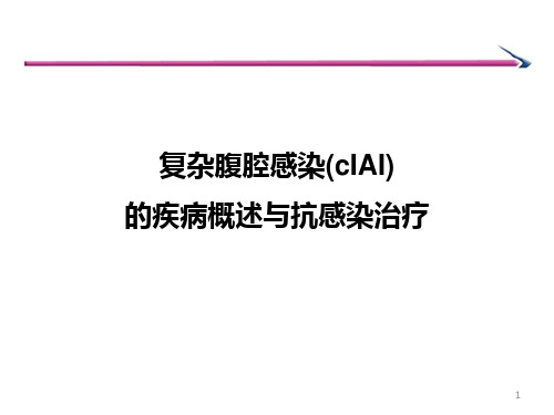 不同类型复杂腹腔感染的疾病概述与抗感染治疗PPT演示课件