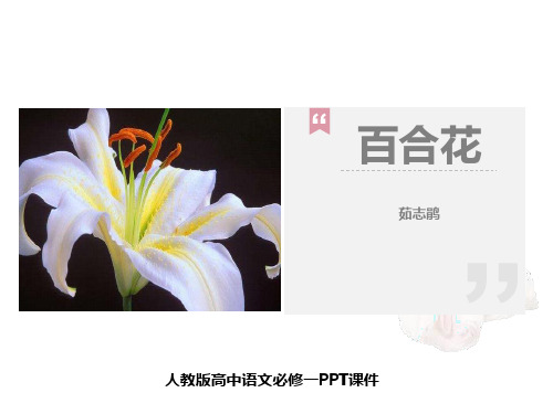 百合花 人教版高中语文必修一