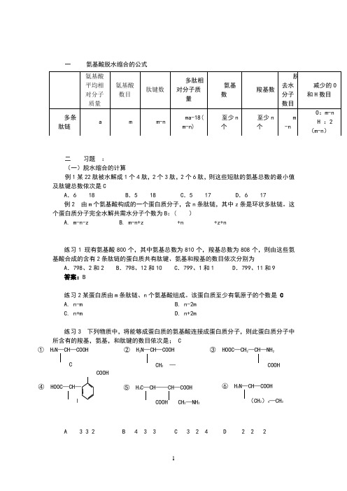 氨基酸脱水缩合的有关计算教师版