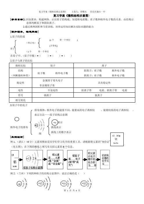 期末复习学案《微粒结构示意图》