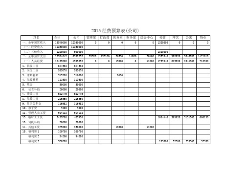 2015经费预算表公司