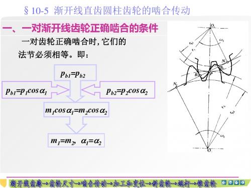 齿轮机构啮合传动-PPT文档资料