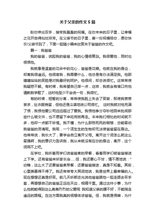 关于父亲的作文5篇