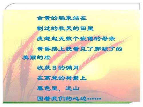 拾穗