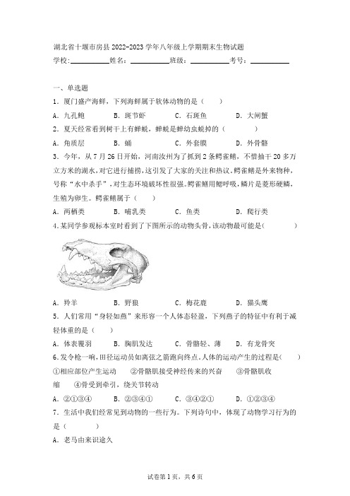 湖北省十堰市房县2022-2023学年八年级上学期期末生物试题