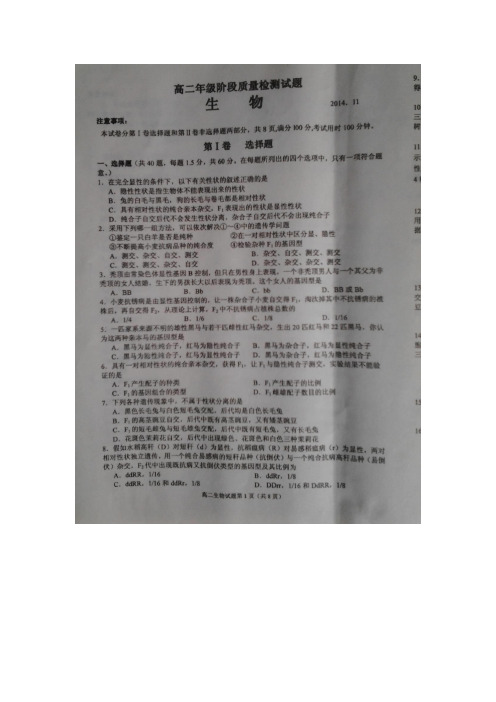 山东省临沭县2014-2015学年高二上学期期中教学质量检测生物试题(扫描版)