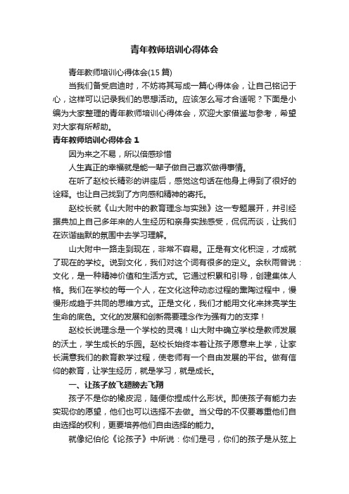 青年教师培训心得体会