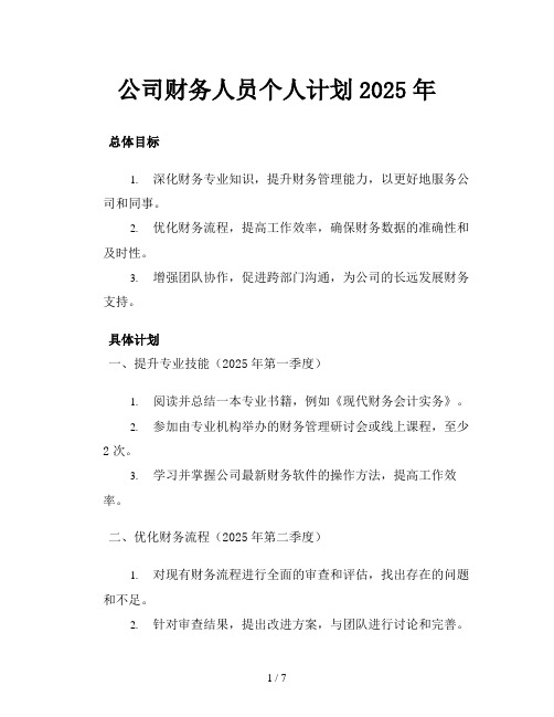 公司财务人员个人计划2025年