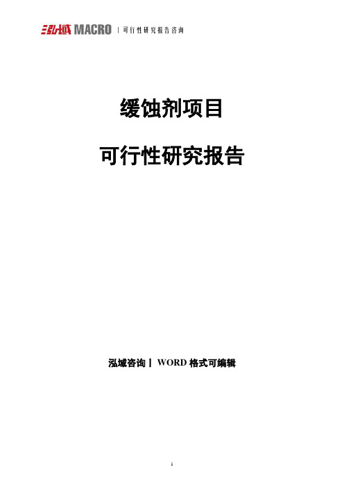 缓蚀剂项目可行性研究报告