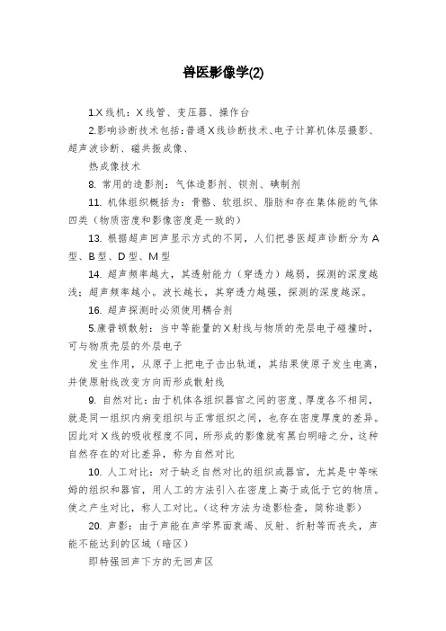 兽医影像学(2)