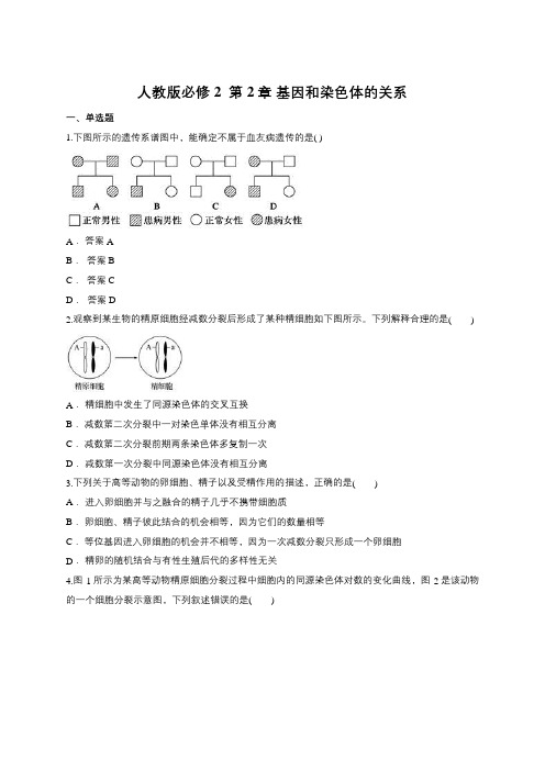 人教版必修2  第2章 基因和染色体的关系(包含答案)