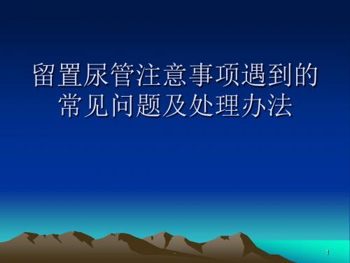 留置尿管遇到的常见问题及处理办法PPT课件