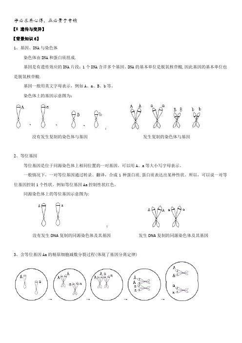 上海市古美高级中学2016年高中生命科学合格性考试考点汇编学案：8遗传与变异