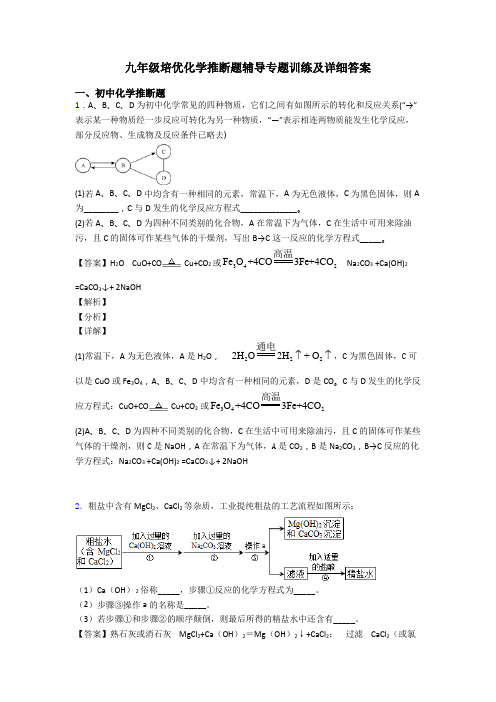 九年级培优化学推断题辅导专题训练及详细答案