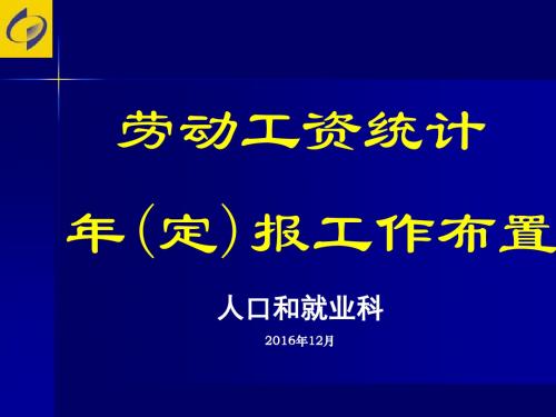 劳动工资统计年报工作布置概论PPT(共 49张)