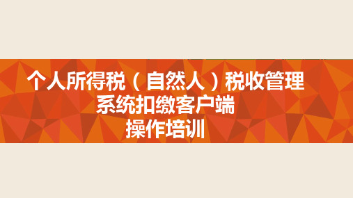 2019年个税自然人扣缴客户端(税局)ppt课件