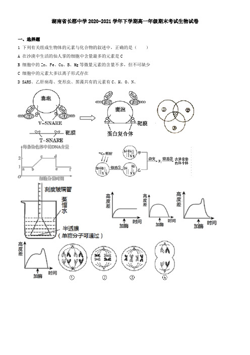 湖南省长郡中学2021学年下学期高一年级期末考试生物试卷