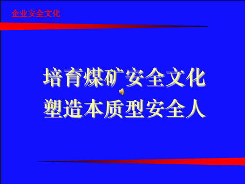 安全文化