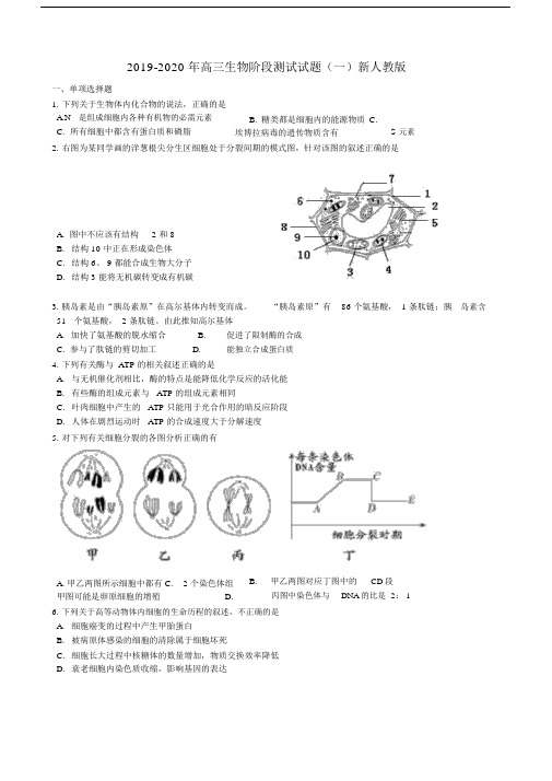 2019-2020年高三生物阶段测试试题(一)新人教版.docx
