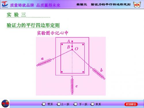 实验三  验证力的平行四边形定则