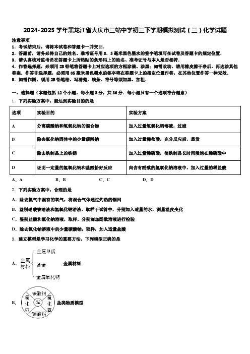 2024-2025学年黑龙江省大庆市三站中学初三下学期模拟测试(三)化学试题含解析