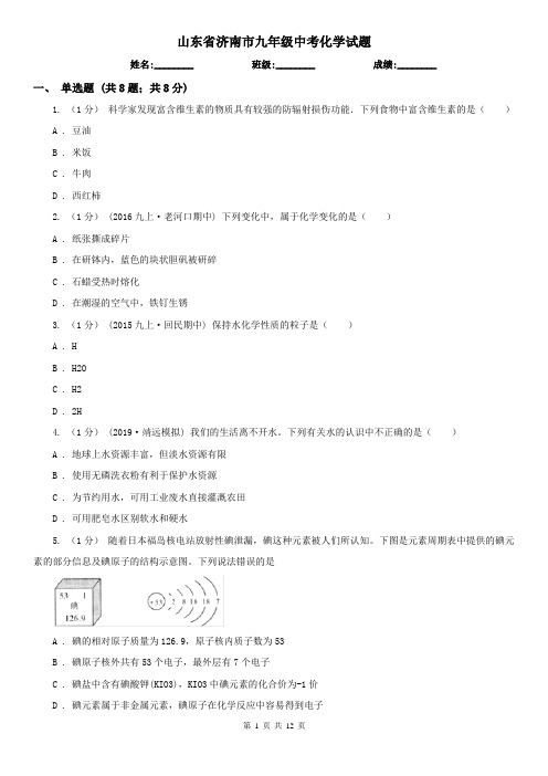 山东省济南市九年级中考化学试题