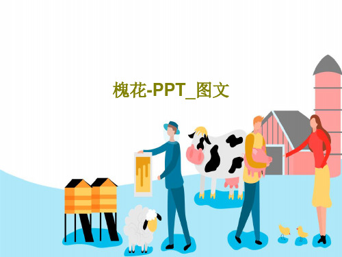 槐花-PPT_图文23页PPT