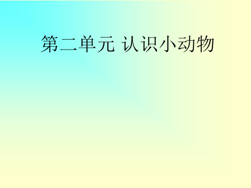 部编版一年级上册科学课件- 兔子 大象版0ppt上课用