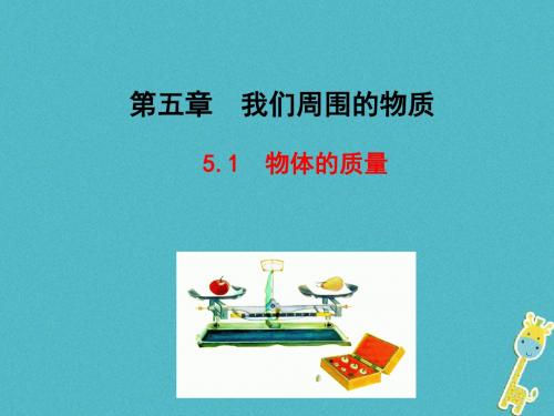 初二物理上册 5.1 物体的质量4 粤教沪版