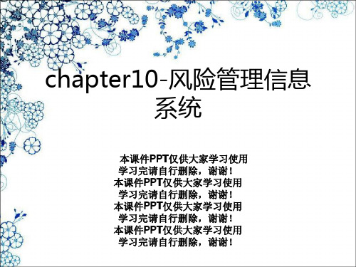 chapter10-风险管理信息系统