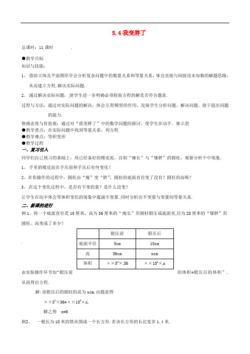 辽宁省丹东七中七年级数学上册《我变胖了》教案 北师大版