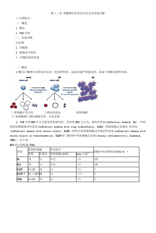 临床检验技士-临床血液学检验讲义12