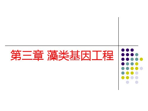 第三章 藻类基因工程