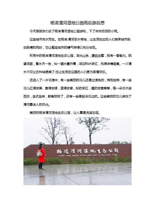 杨凌渭河湿地公园雨后游后感