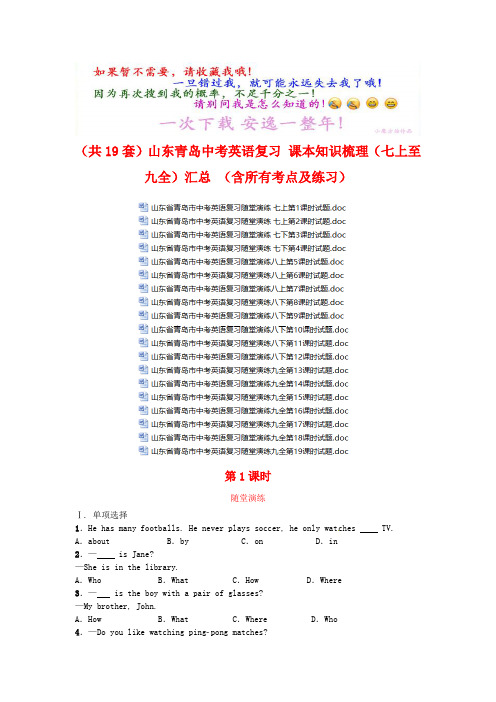 超级资源(共19套)山东青岛中考英语复习 课本知识梳理(七上至九全)汇总 (含所有考点及练习)