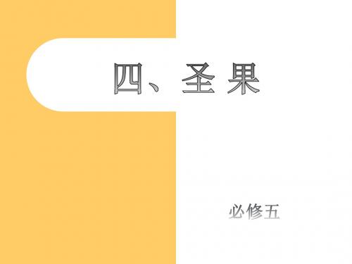 新疆教育出版社汉语必修4：5  民族风情画廊——二道桥(1)