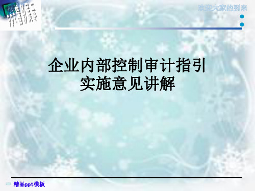 企业内部控制审计指引实施意见讲解