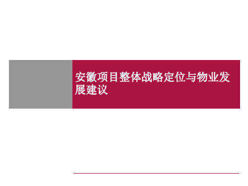 安徽房地产项目整体战略定位与物业发展建议报告