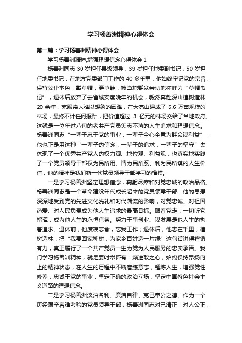 学习杨善洲精神心得体会