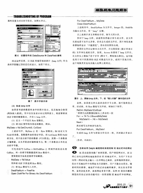 怎样采用Delphi编程轻松实现控制IE地址栏中的网址