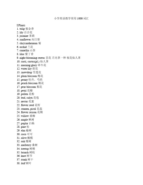 小学英语教学常用1000词汇