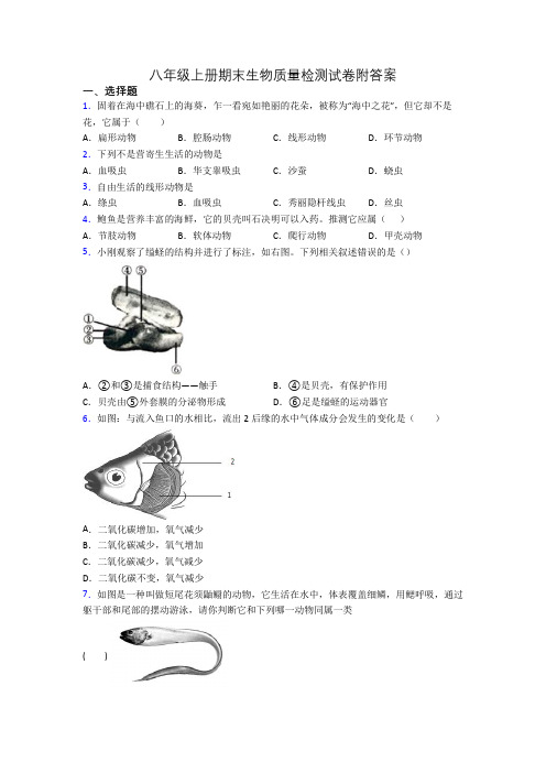 八年级上册期末生物质量检测试卷附答案