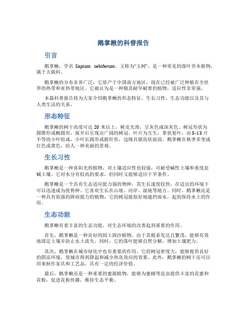 鹅掌楸的科普报告