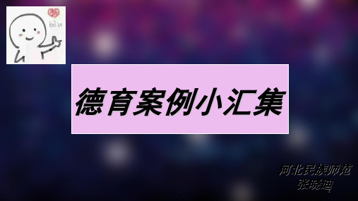 教育学德育案例分析(课堂PPT)