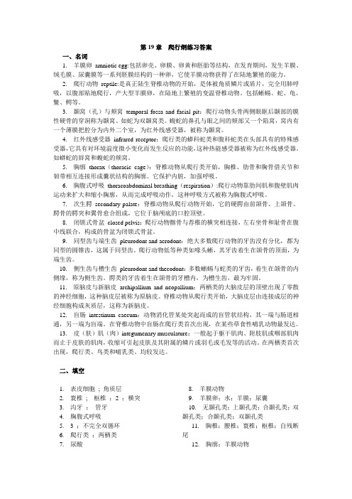 第19章爬行纲答案