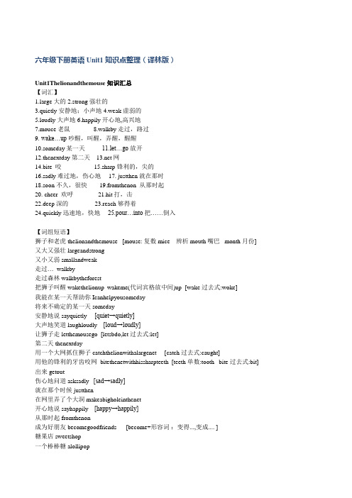 六年级下苏教版译林英语U1语法重点