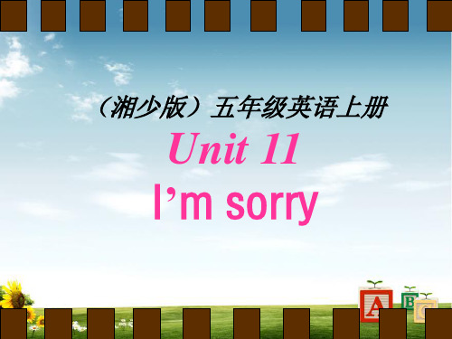 湘少版五年级英语上册Unit 11 I'm sorry