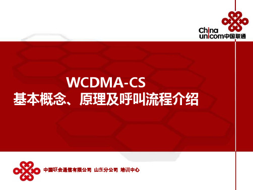 WCDMACS基本概念原理及呼叫流程介绍ISSUE