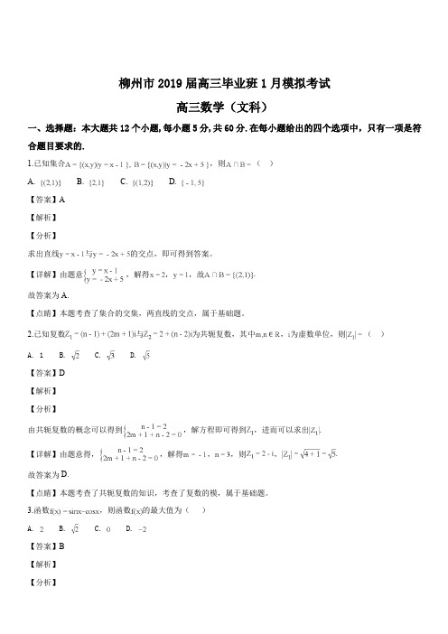 广西柳州市2019届高三1月模拟考试数学(文科)试题(解析版)